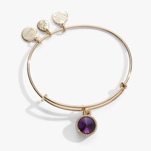 Alex + Ani February Birthstone Charm Bangle, Amethyst
